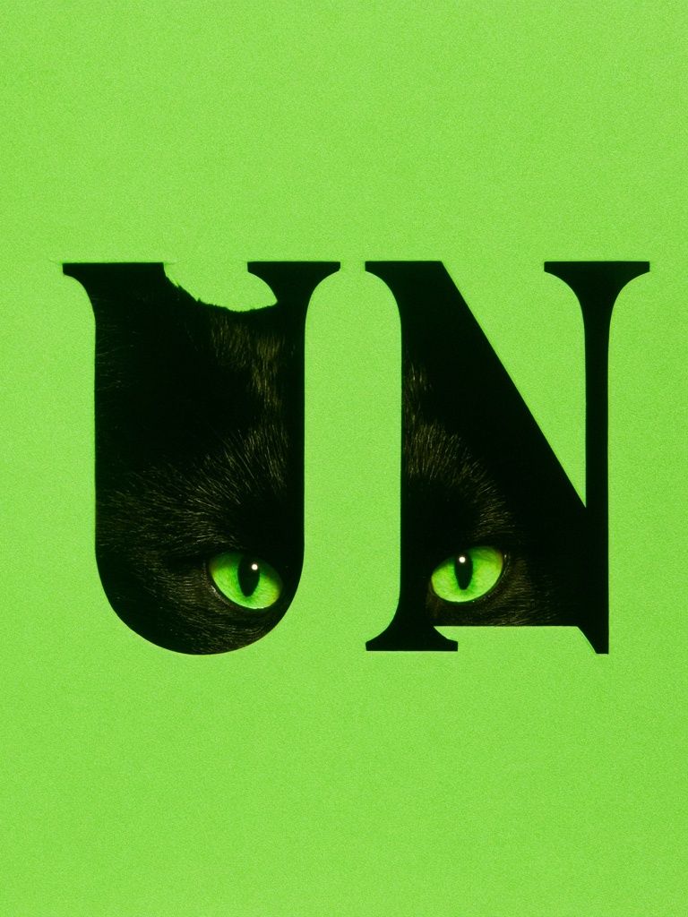 Black Cat Eyes Typography Poster. poster — typography art