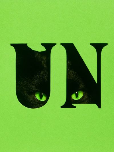 Black Cat Eyes Typography Poster. poster