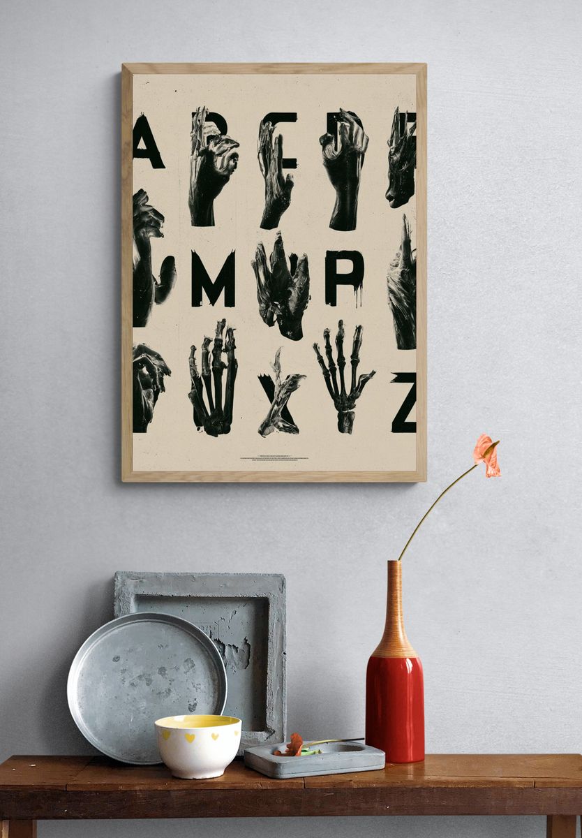Anatomy Alphabet Typography Poster. — room view 3