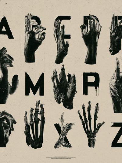 Anatomy Alphabet Typography Poster. poster