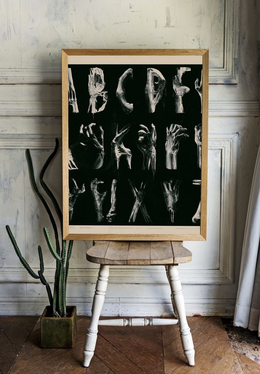 Anatomical Alphabet Typography Print. — room view 1