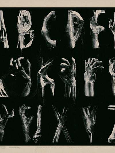 Anatomical Alphabet Typography Print. poster