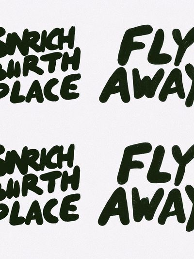 Snrich Birth Place Fly Away Typography Poster. poster