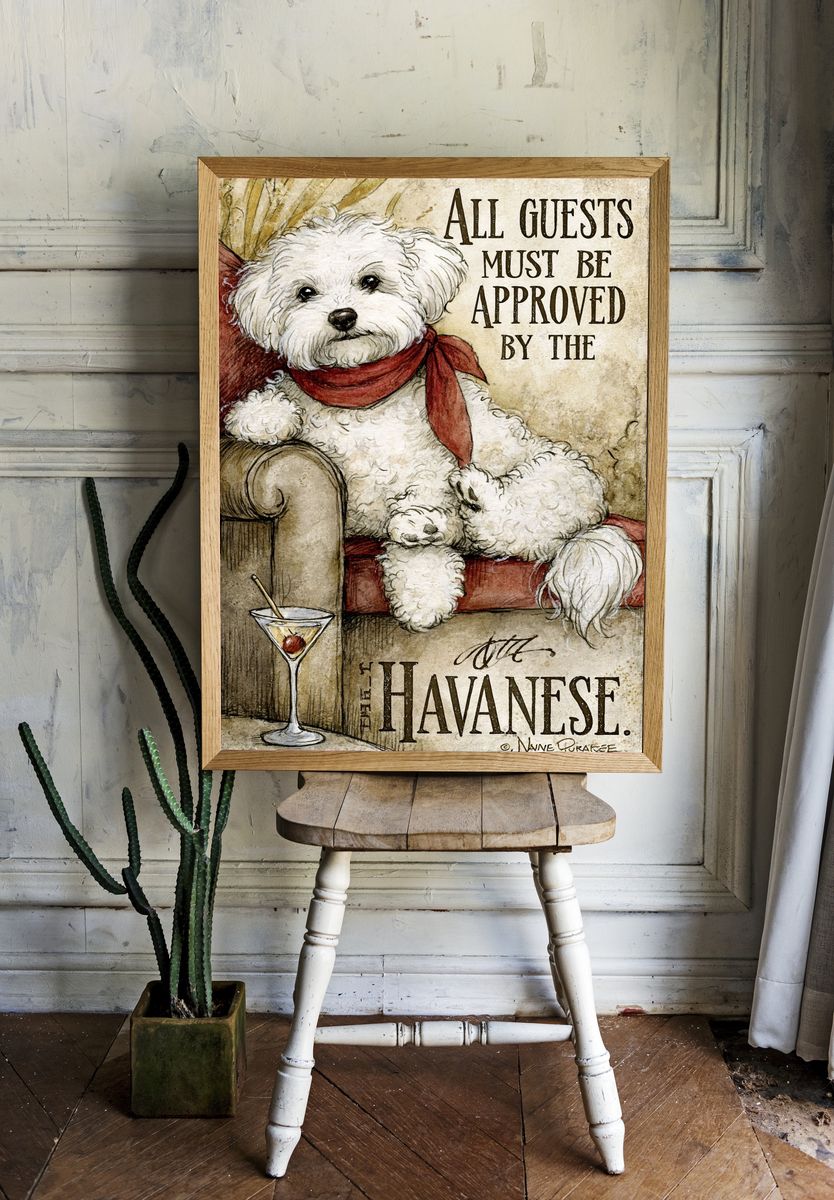 Havanese Dog Quote Typography Poster. room preview