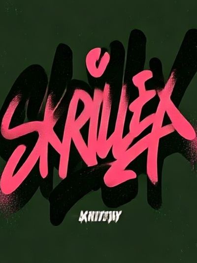 Skrillex Graffiti Typography Poster. poster