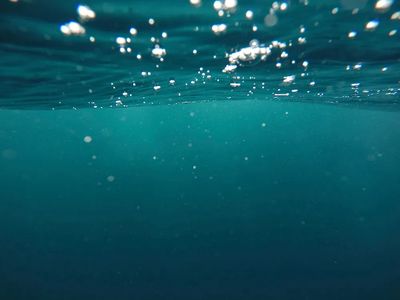 Underwater. poster print