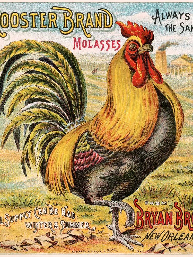 Rooster brand molasses, Bryan Bro's. poster — vintage art