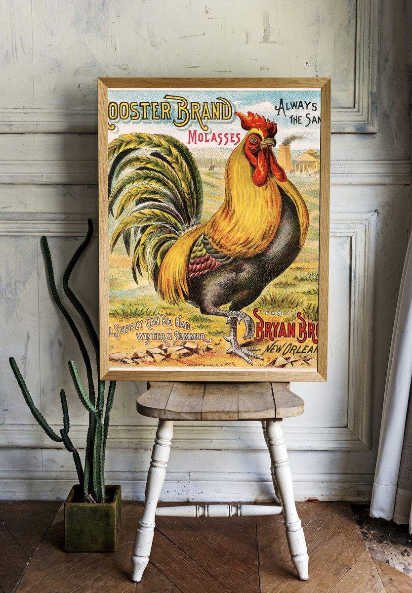 Rooster brand molasses, Bryan Bro's. — room view 1