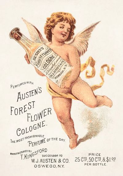 Perfumed Austen's Forest Flower Cologne. poster print