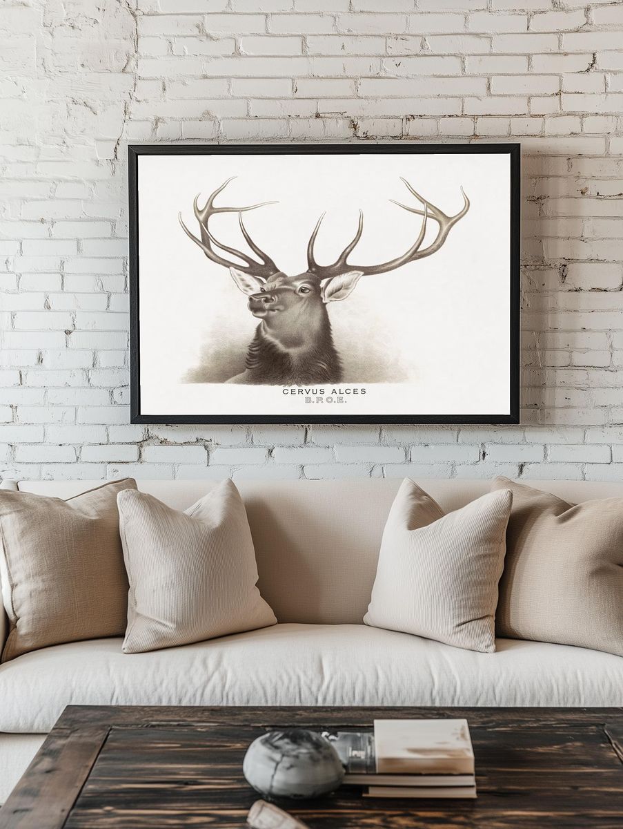 Cervus Alces Vintage Print room preview