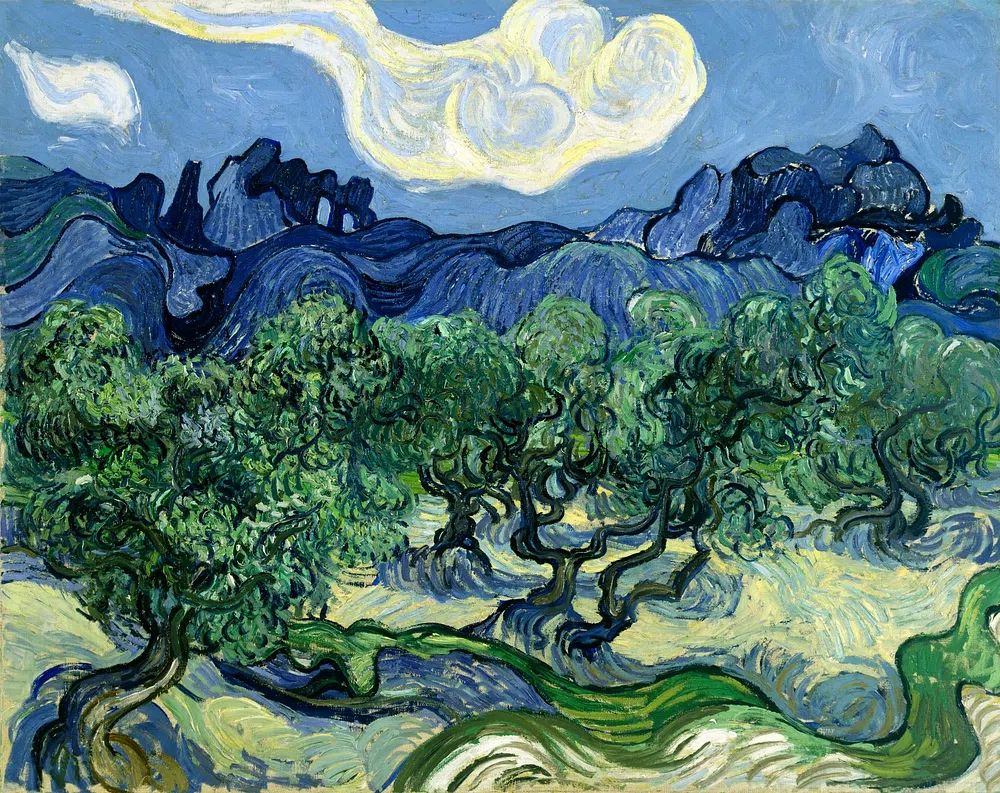 Vincent van Gogh's Olive. poster — fine-art art