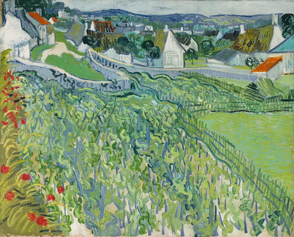 Vincent van Gogh 's Vineyards. poster — fine-art art