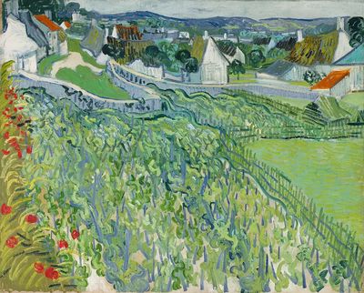 Vincent van Gogh 's Vineyards. poster print