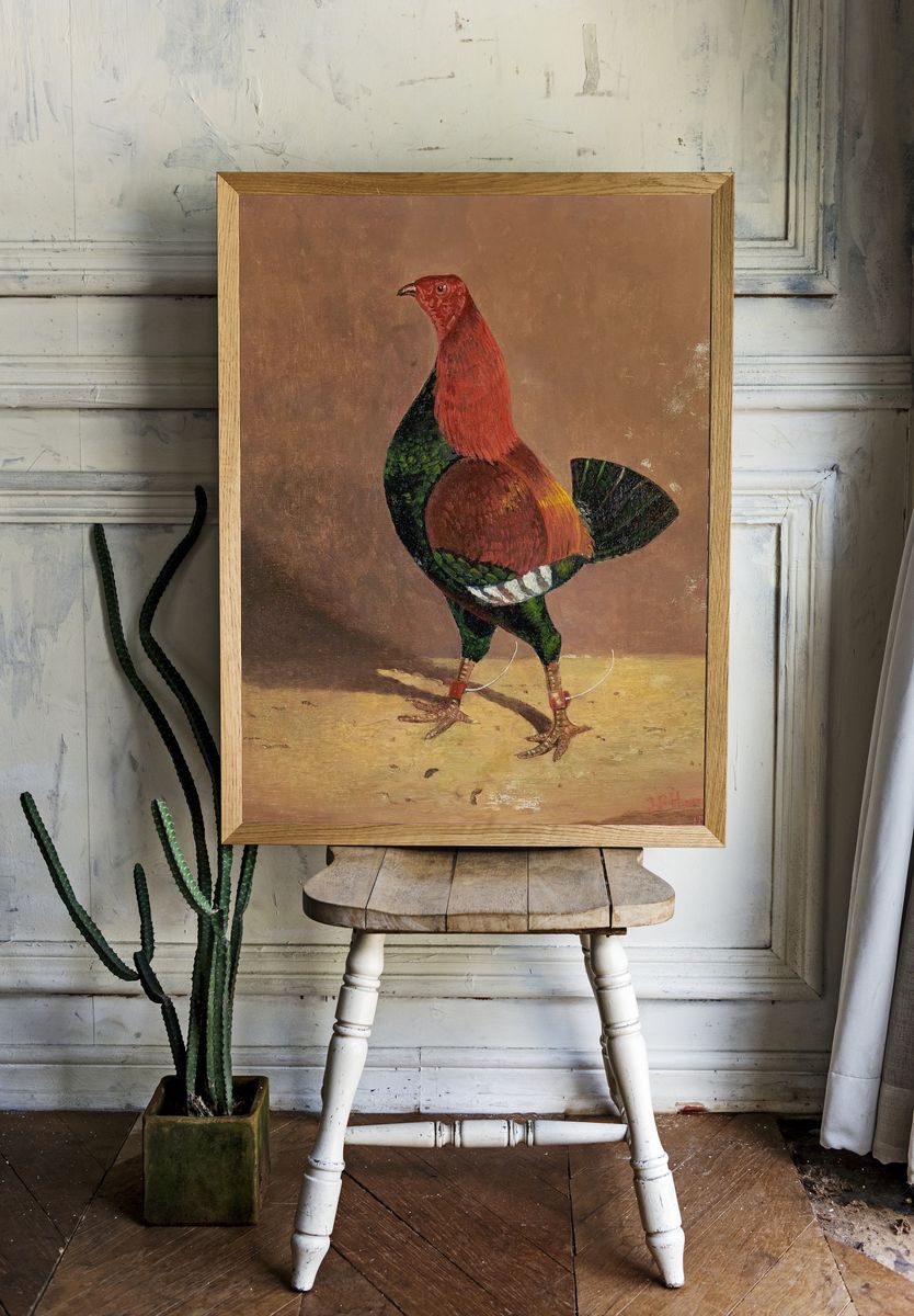 Colorful Rooster — Vintage Print. — room view 1