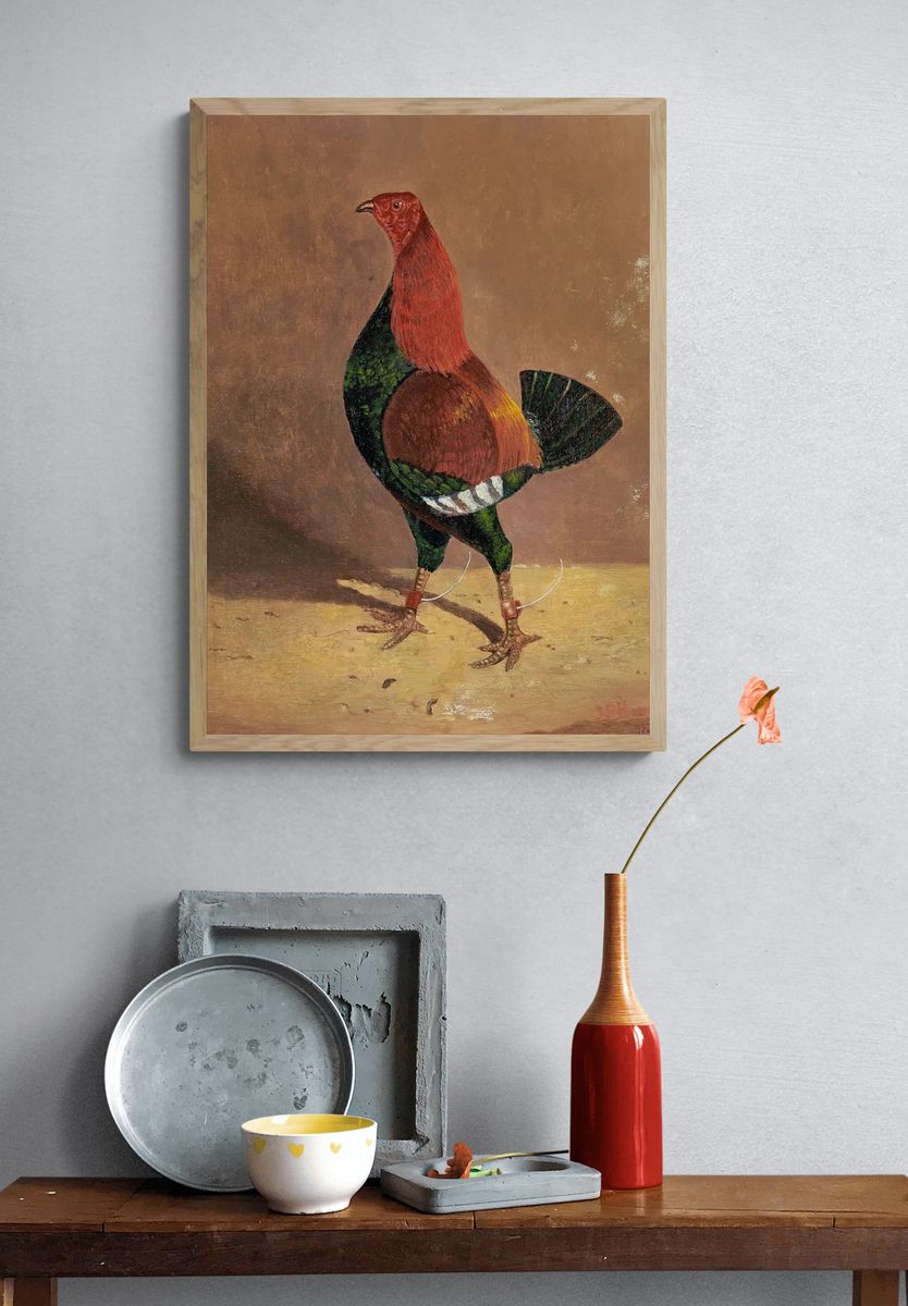 Colorful Rooster — Vintage Print. — room view 3