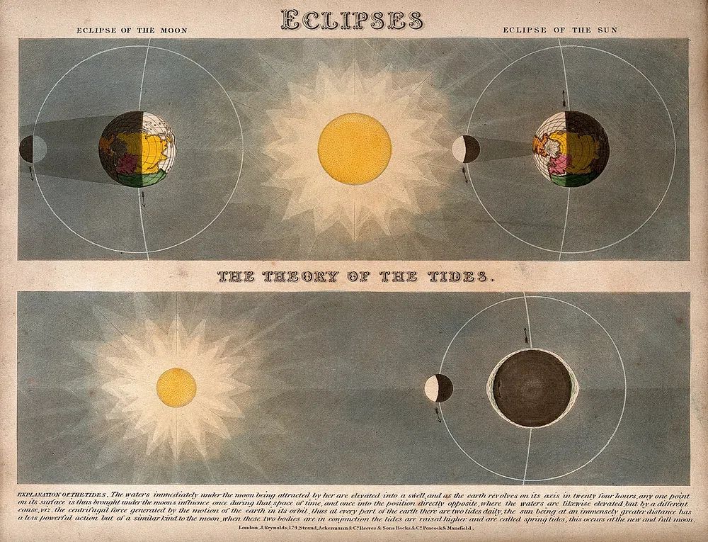 Eclipses Vintage Astronomy Poster. poster — vintage art