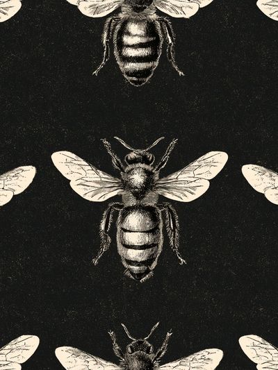 Vintage Bee Pattern Poster. poster