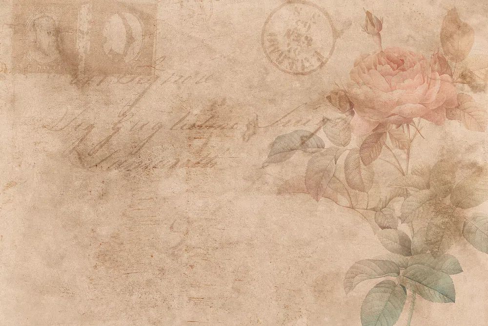 Vintage Rose Botanical Poster.