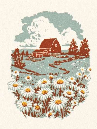 Daisy Field with Barn — Vintage Print. poster