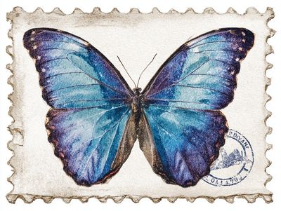 Blue Butterfly Vintage Print. poster