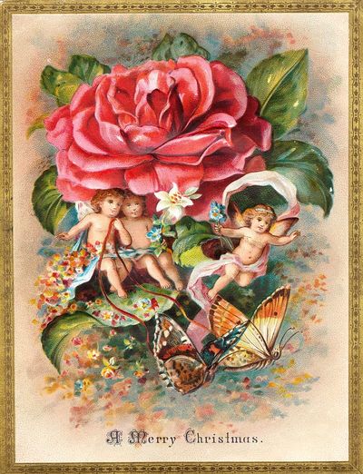 Vintage Christmas Cherubs and Rose Poster. poster print