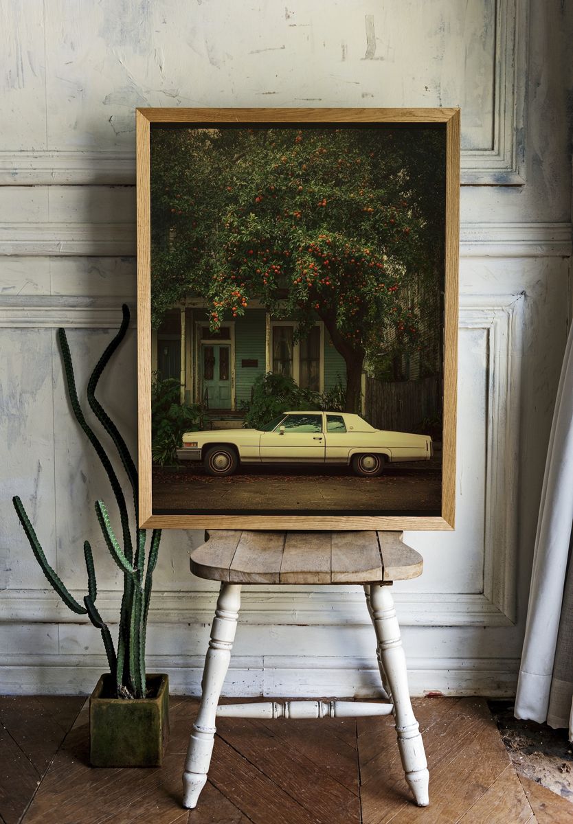 Classic Car Under Orange Tree — Vintage Print. — room view 1