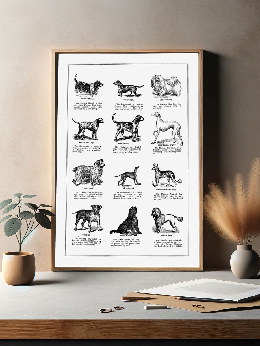 Dog breeds poster. — room view 2