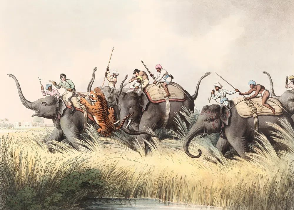 Elephant Hunt Vintage Illustration Poster. poster — vintage art