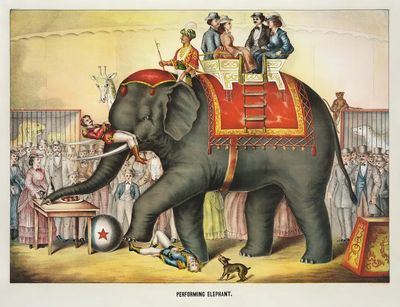 Performing Elephant — Vintage Print. poster