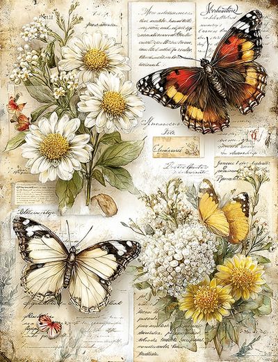 Butterflies and Flowers — Vintage Print. poster print