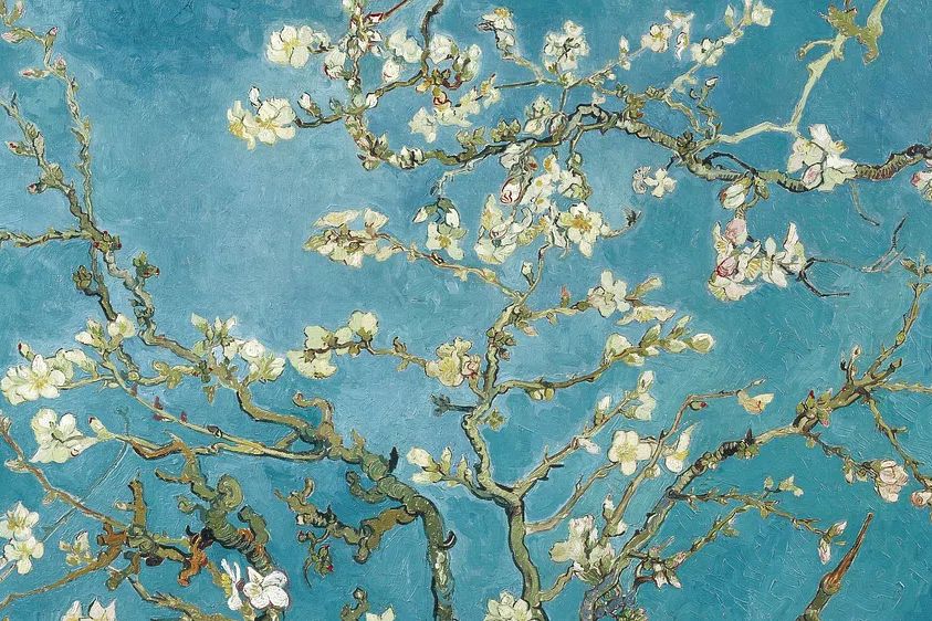 Almond Blossom — Fine Art Print.
