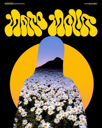 Daisies Retro Collage Poster. poster
