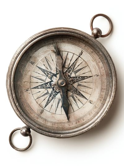 Vintage Compass Print. poster