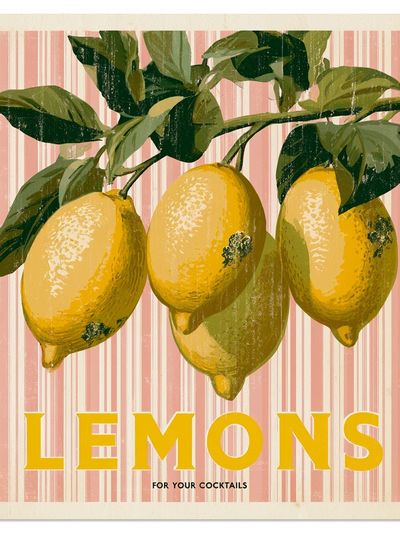 Lemons Vintage Poster. poster print