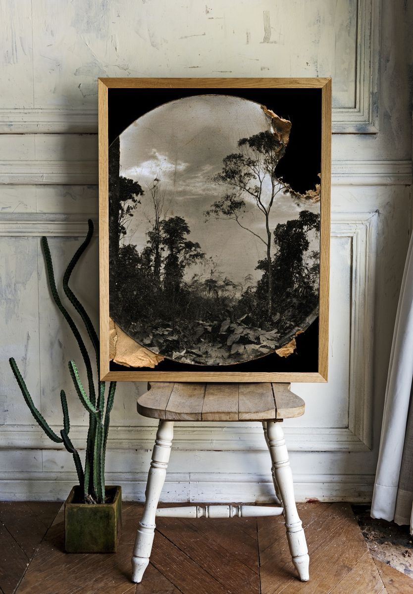 Forest Silhouette Vintage Print. room preview