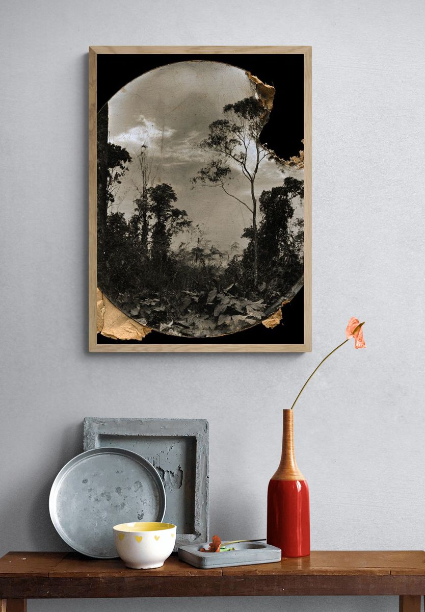 Forest Silhouette Vintage Print. — room view 3