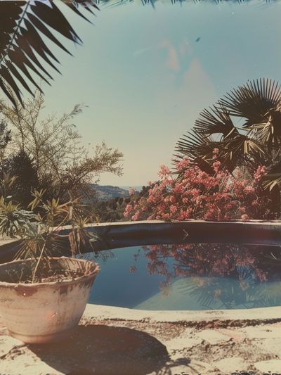 Mediterranean Poolside Garden Vintage Print.