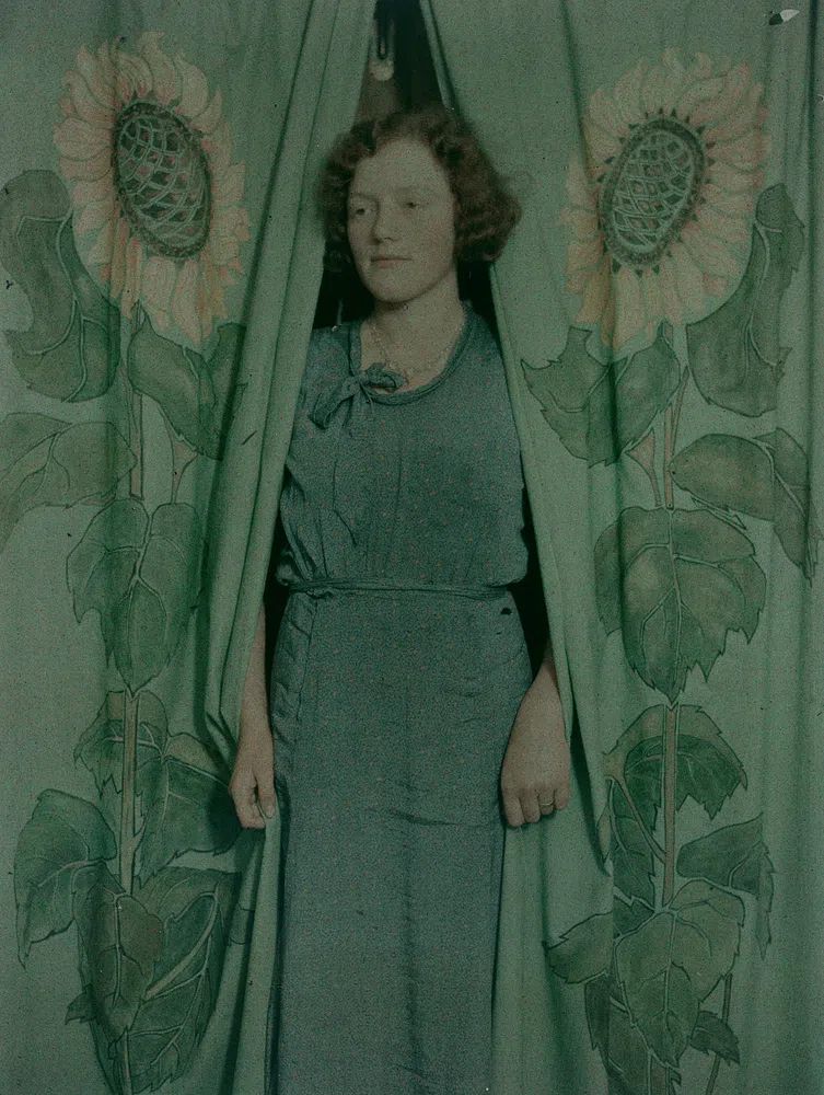 Woman sunflower print curtains (1900-1930). poster — photography art