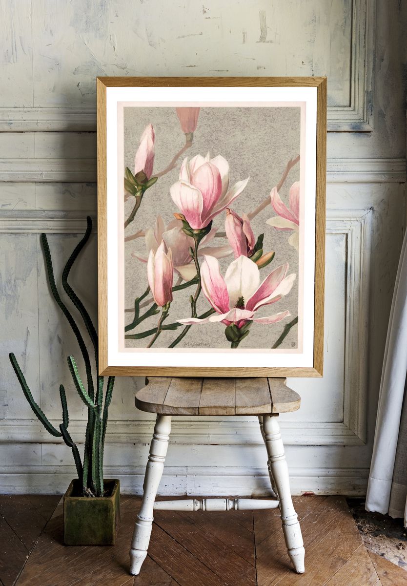 Magnolia poster, vintage art print. — room view 1