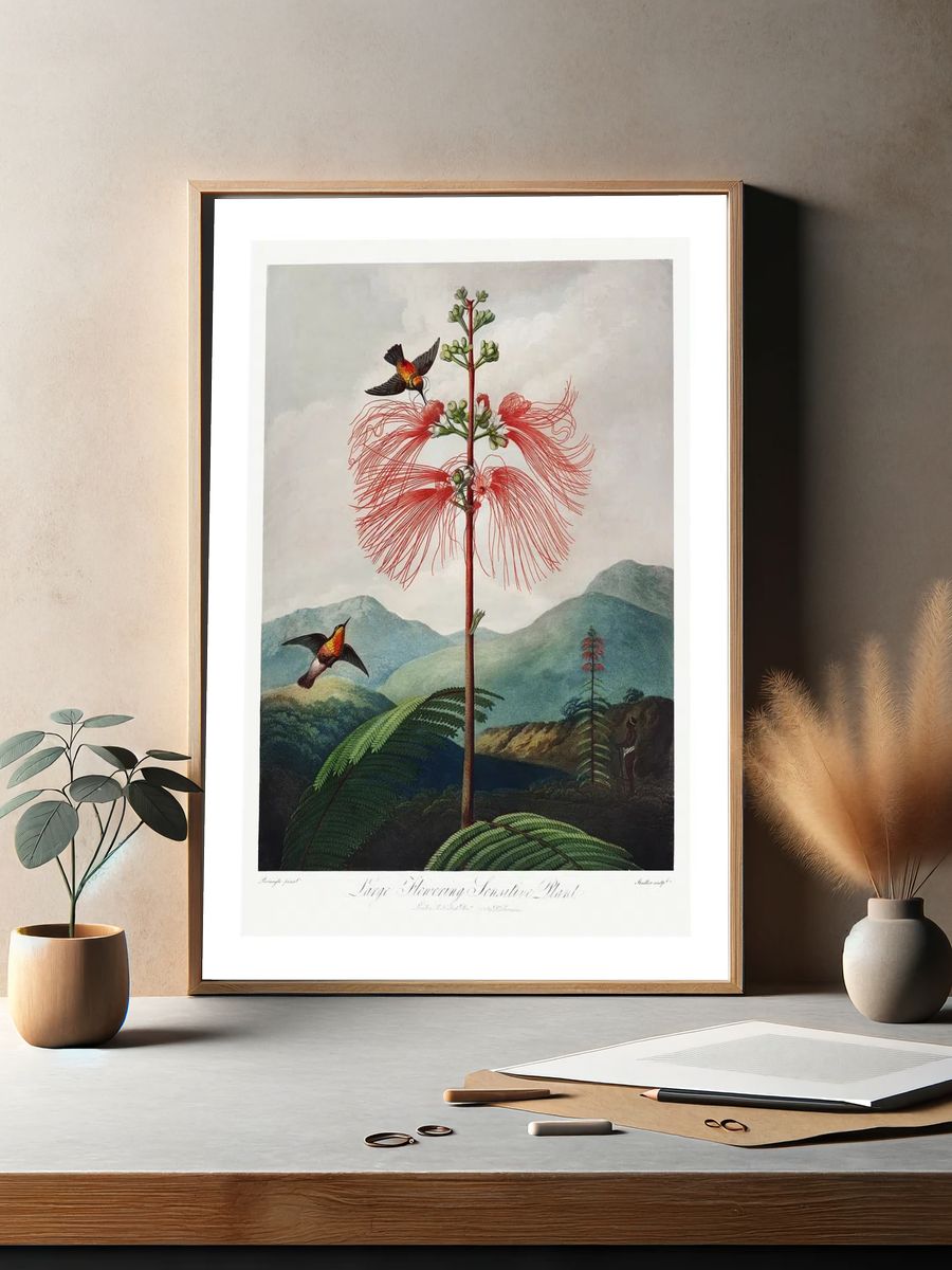 Red flower poster. Flowering Sensitive. — room view 2