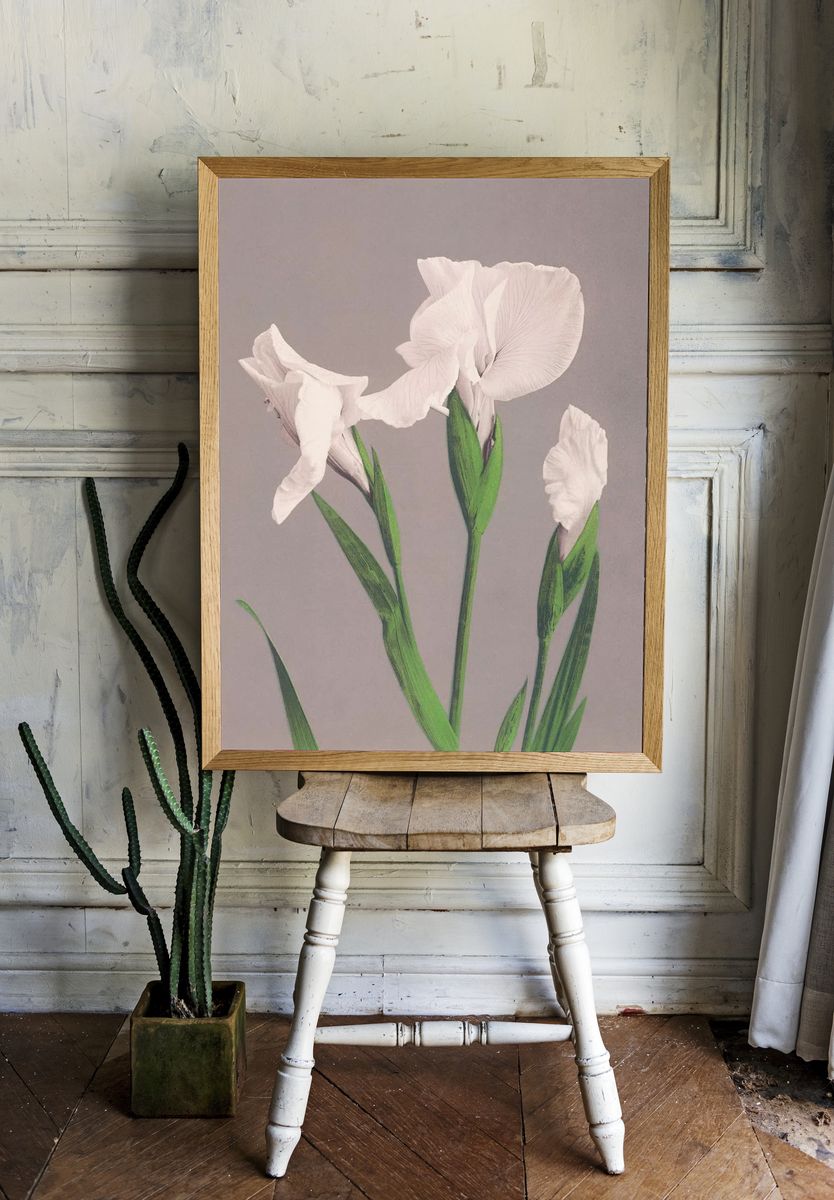 Beautiful photomechanical prints White Irises. — room view 1