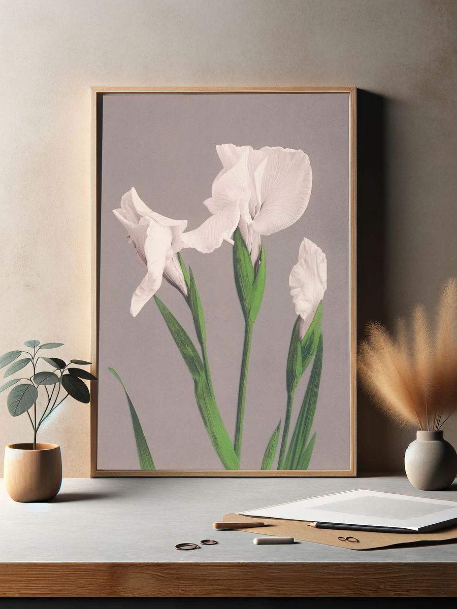 Beautiful photomechanical prints White Irises. — room view 2