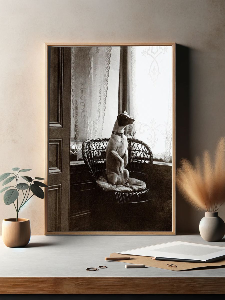 Sitting dog chair window (1900–1910). — room view 2