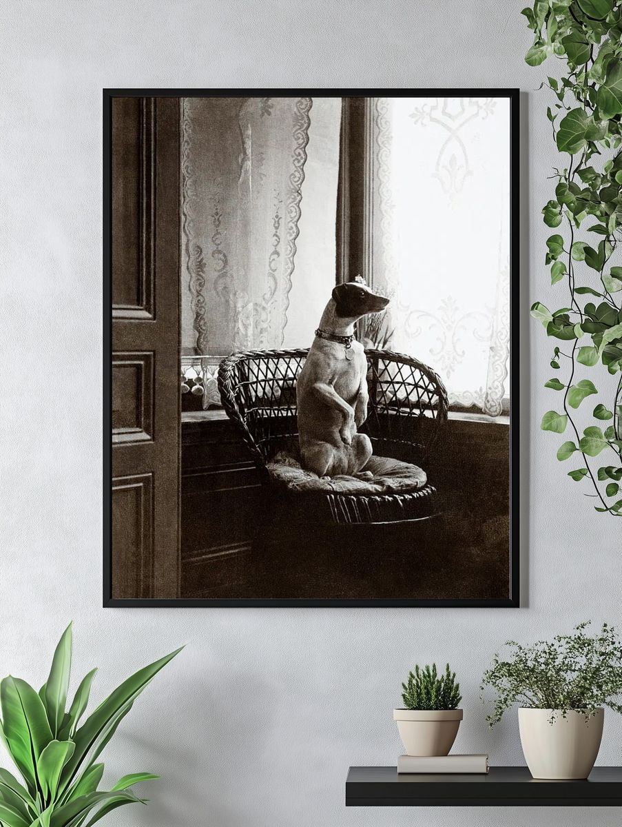 Sitting dog chair window (1900–1910). — room view 4