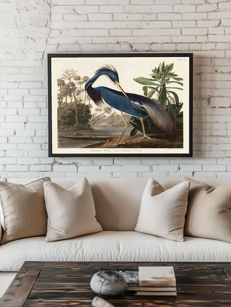 Louisiana Heron Vintage Print. — room view 1