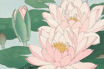 Lotus Flowers — Vintage Print. poster print