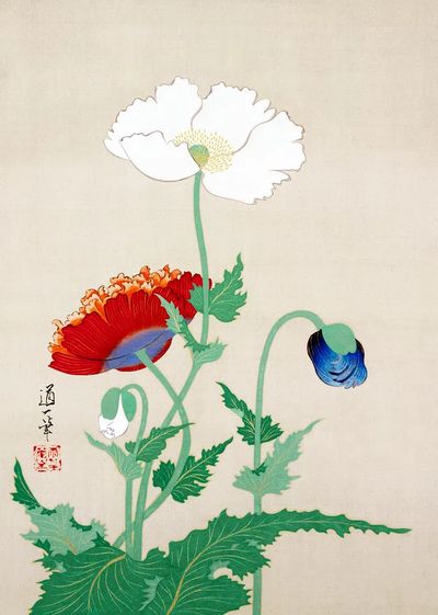 Poppy Flowers — Vintage Print.