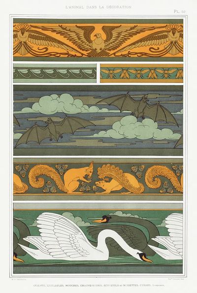 Oiseaux. Libellules. Mouches. Chauve-souris. écureuils. poster