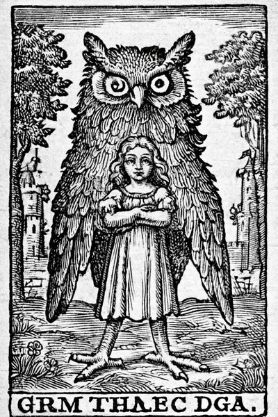 Owl and Girl Woodcut Poster. poster