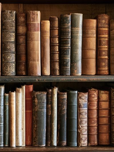 Antique Bookshelf Still Life Poster. poster